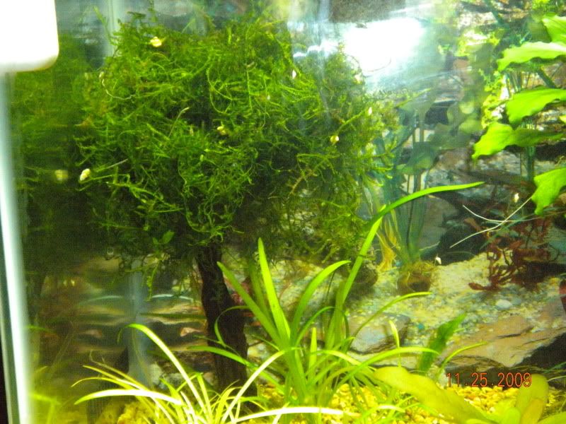 DSCN0090.jpg