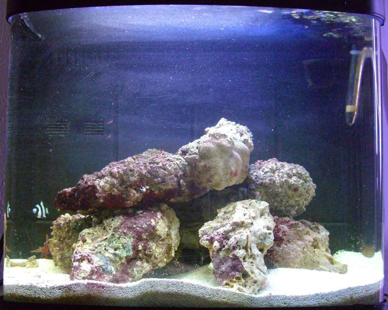 12g_1.jpg