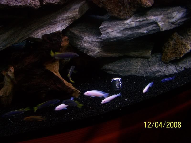 100_1259.jpg
