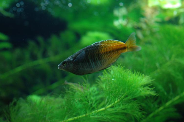 DSC_2739_small.jpg