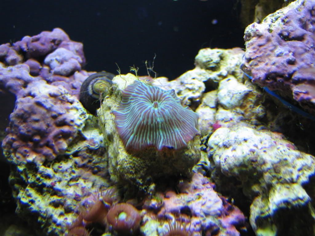 Ocean259.jpg