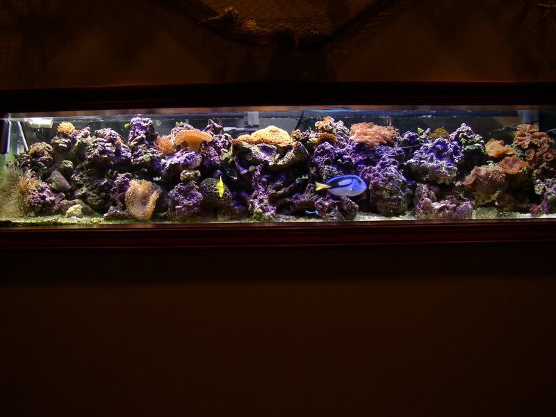 P1180056.jpg