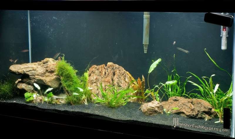 TankUpdate.jpg