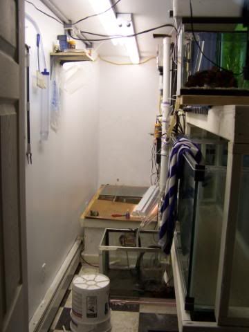 fishwall067.jpg