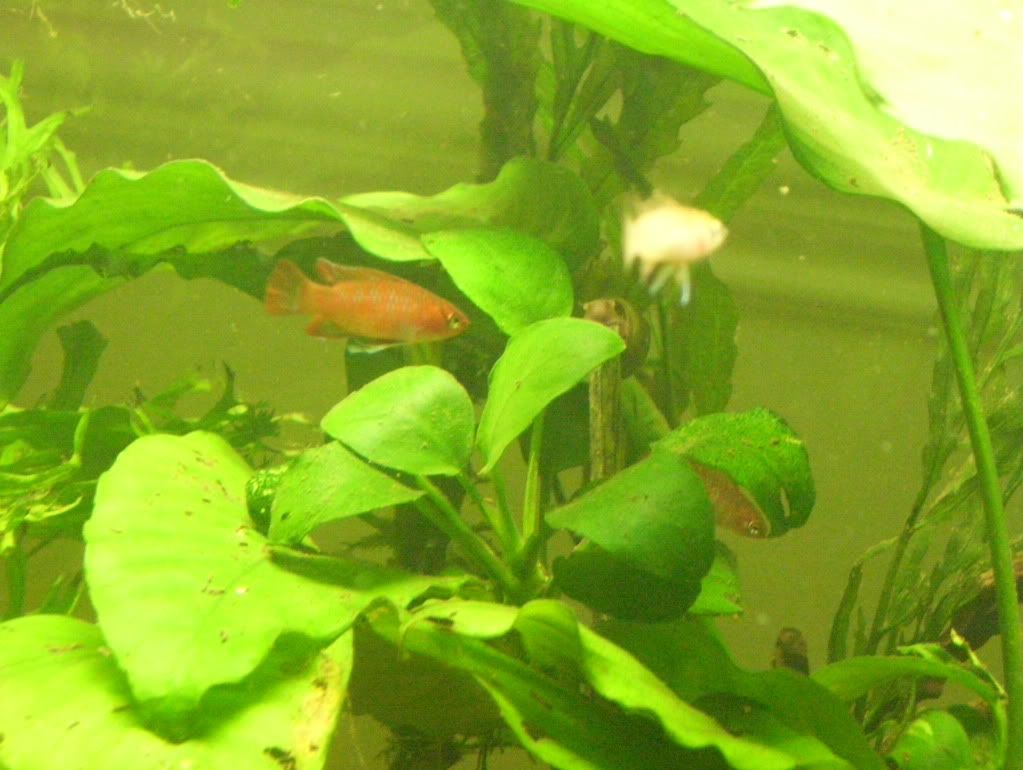 100_4654.jpg