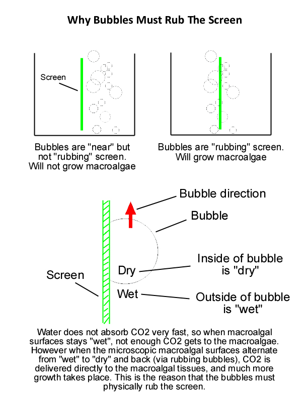 WhyBubbles.jpg