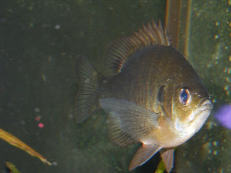 DSCF4023.jpg