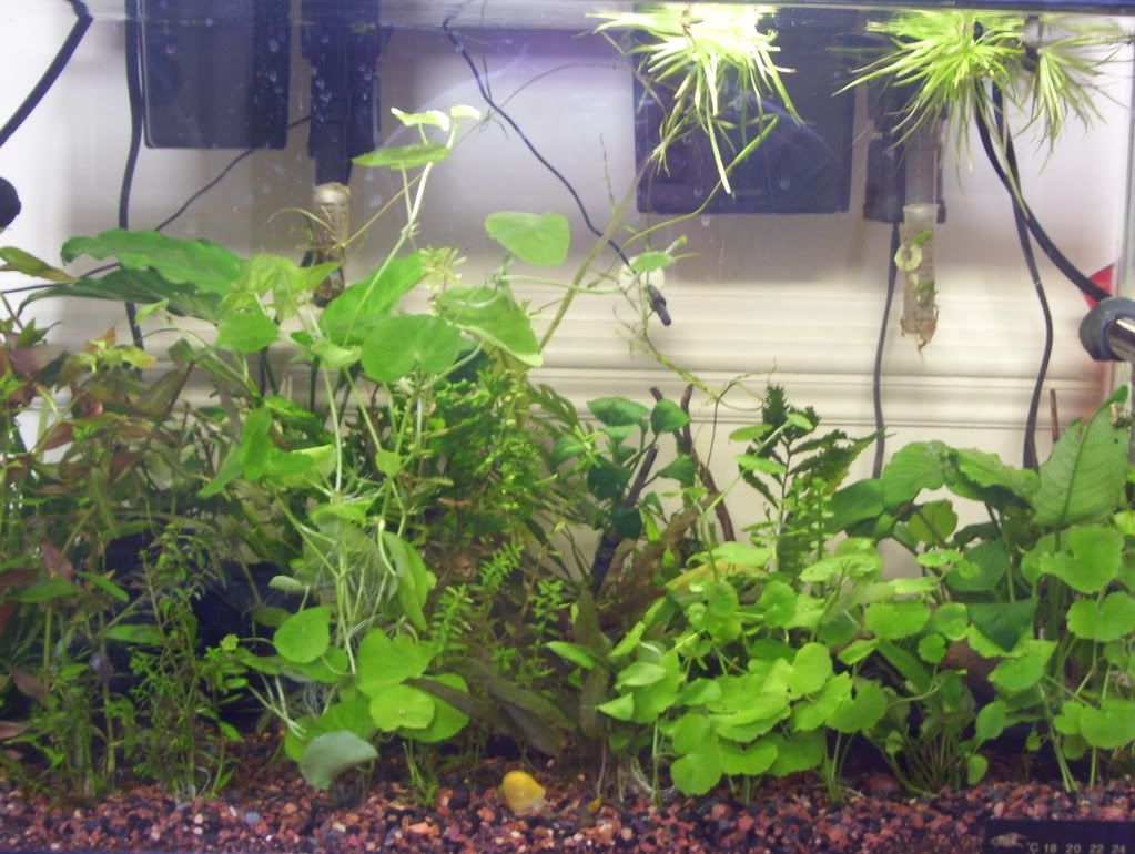 100_4593.jpg