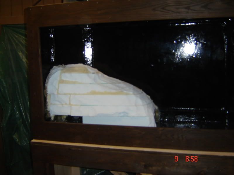 DSC02646.jpg