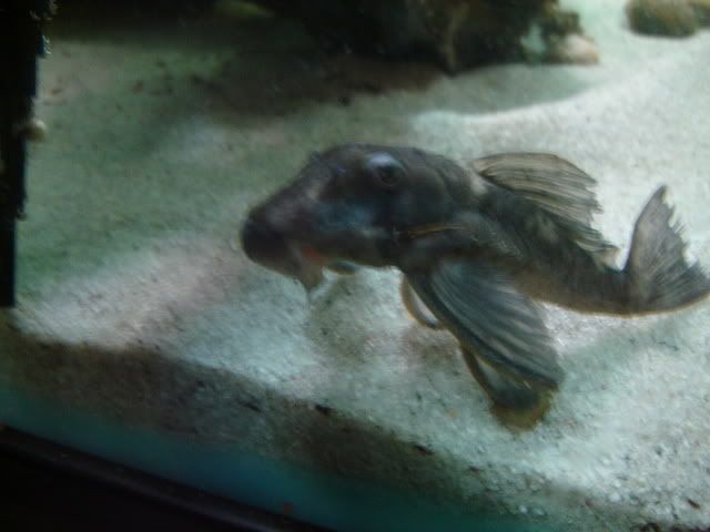 DSC04965.jpg