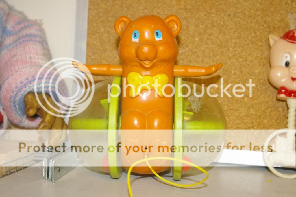 IMGP6587.jpg