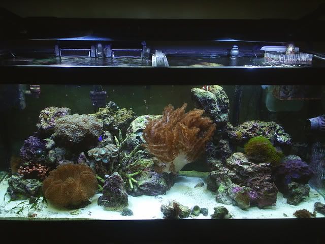 S4010017-1.jpg
