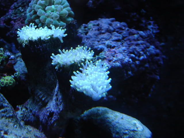 DSC09020.jpg