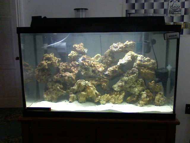 0511071450.jpg
