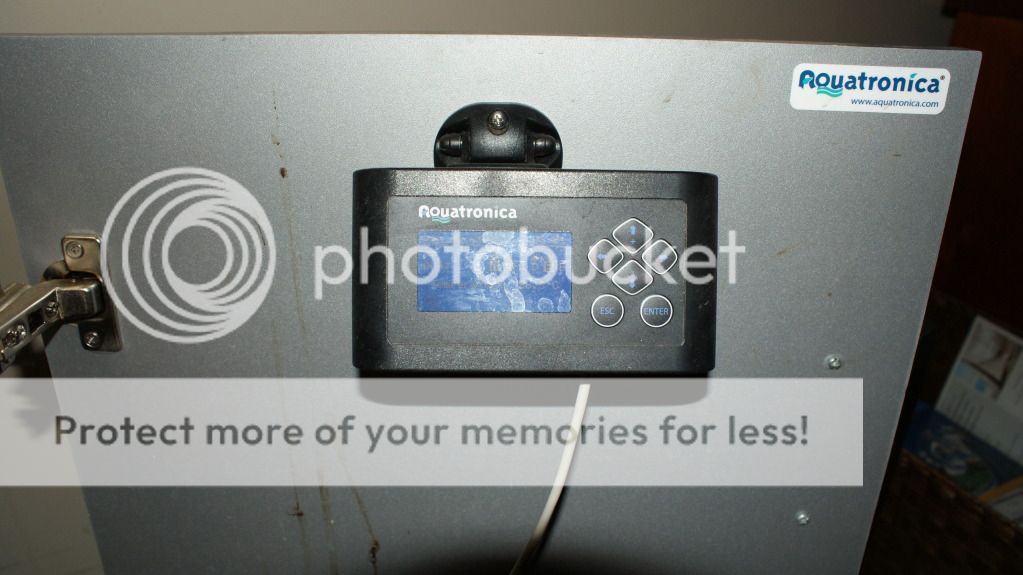 Aquariumstuff006.jpg