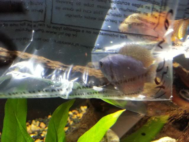 2013-09-04182509_zps4af2c362.jpg
