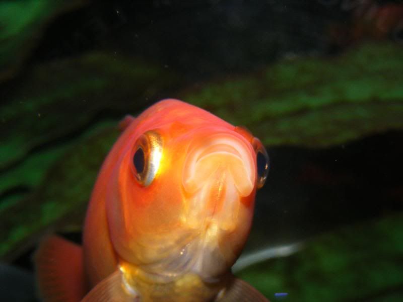 DSCF4293.jpg