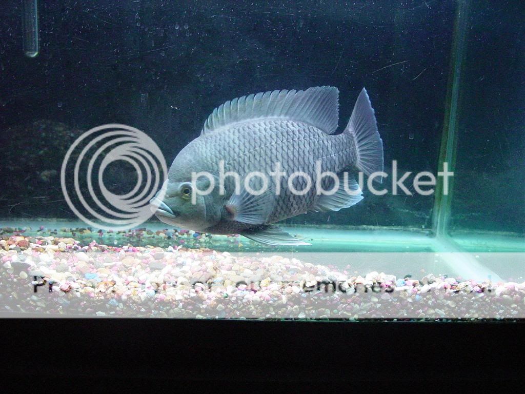DSC05591.jpg