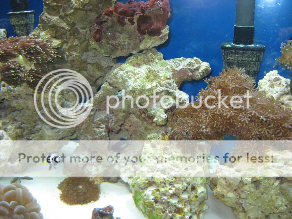IMG_7090.jpg