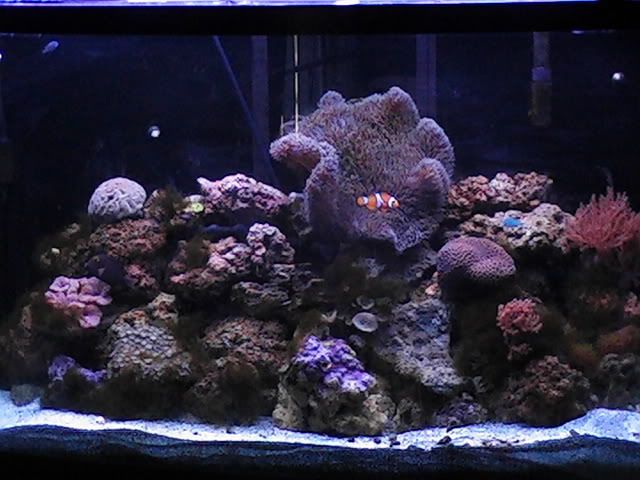 PIC_0006.jpg