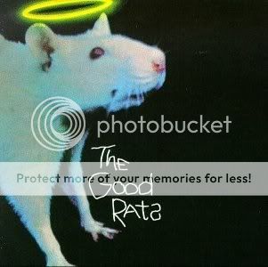 rat11.jpg