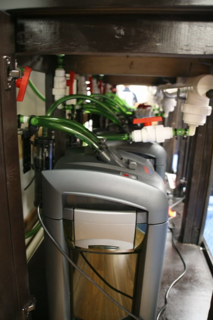 ehiemx6sideview.jpg