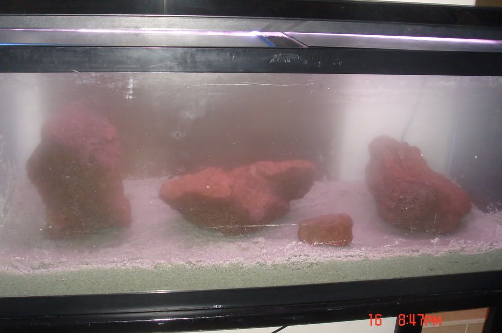 DSC01788.jpg