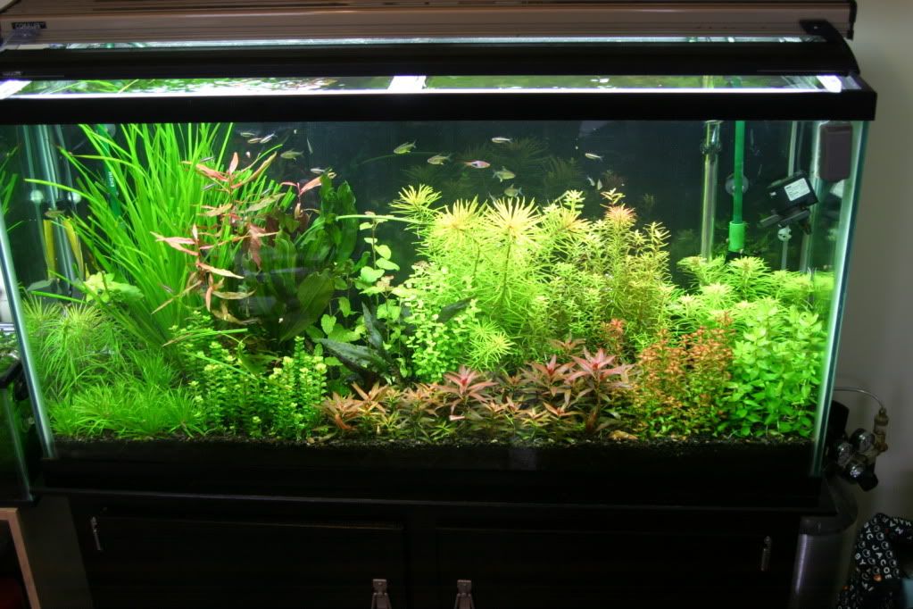 60g04-12-10003.jpg