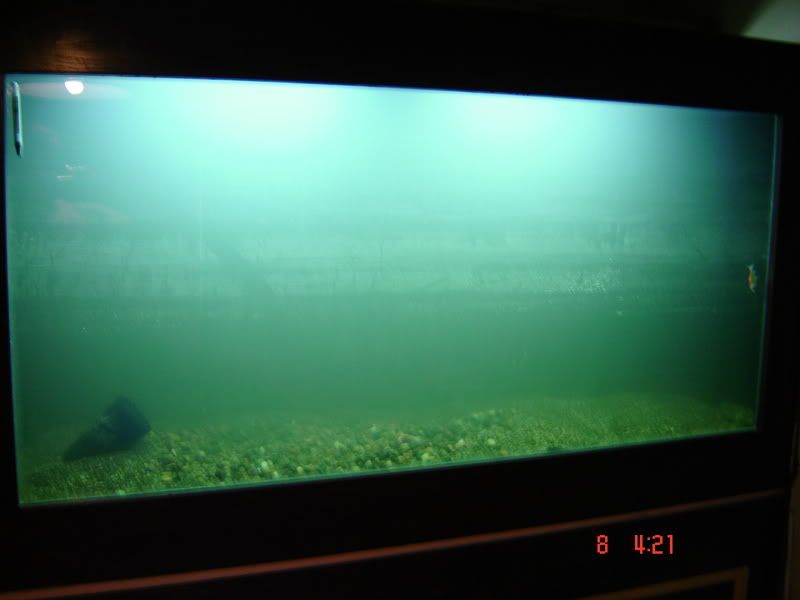 DSC03037.jpg