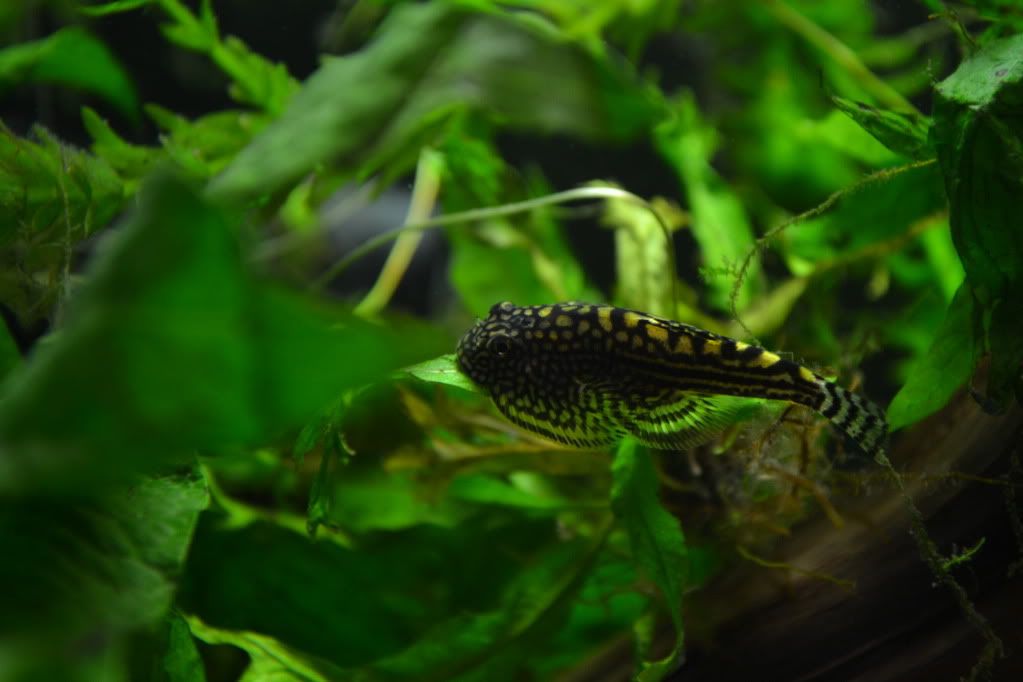 DSC_0455.jpg