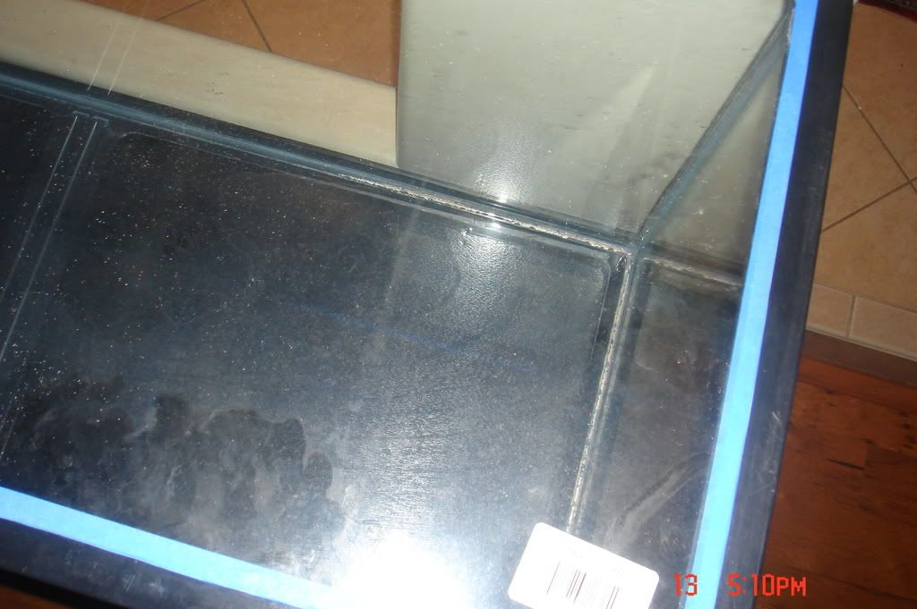 DSC01778.jpg