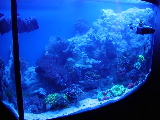 P1010002-34.jpg