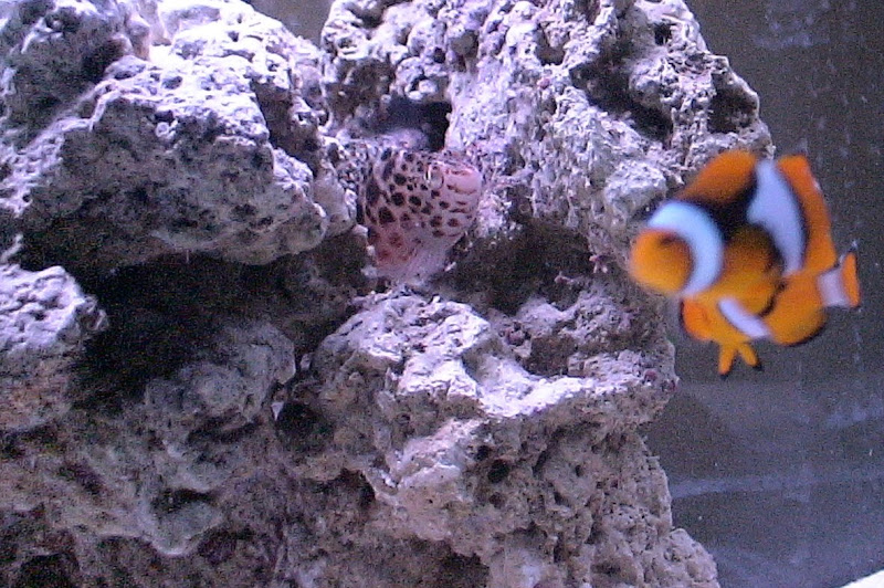 DSC00183.JPG