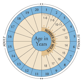 lifecycle_wheel.gif