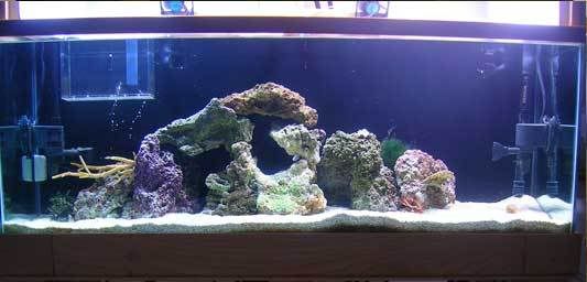 tank_0707.jpg