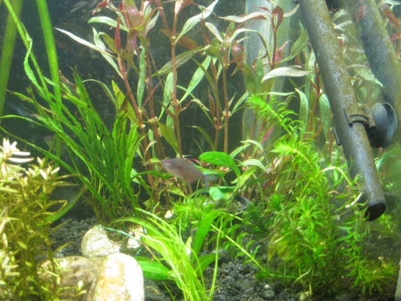 rightside20100806.jpg