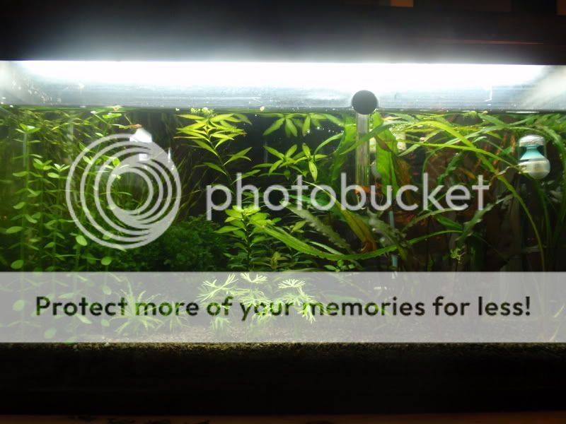 OtoHome_091210.jpg