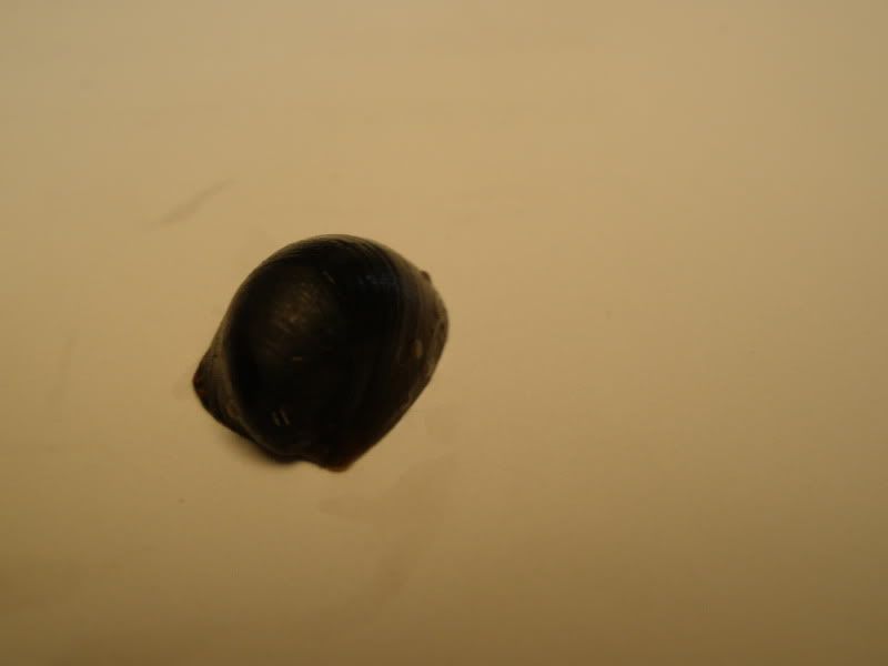 batmannerite03.jpg