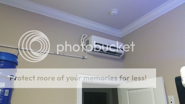20160206_105654_zpsc1hjvi16.jpg