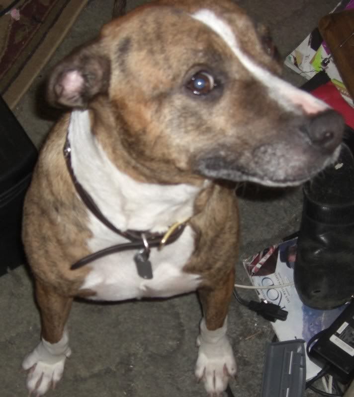 roxy_feb_08.jpg