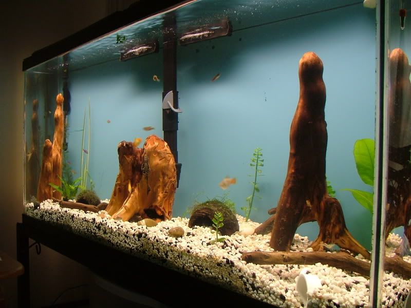 DSCF7593.jpg