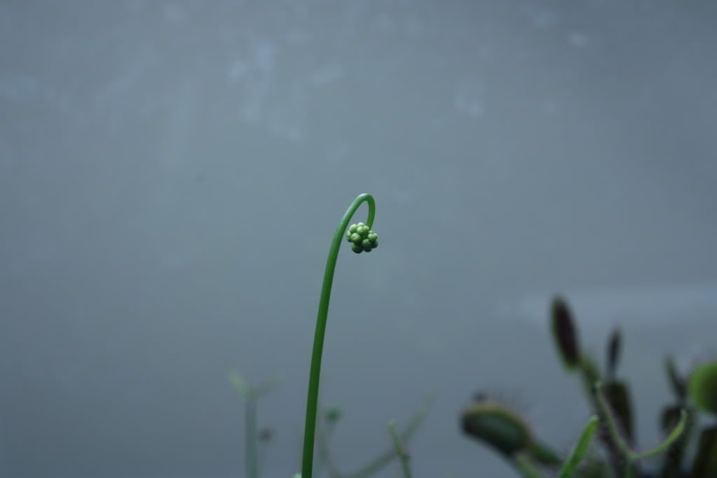 _MG_3774.jpg