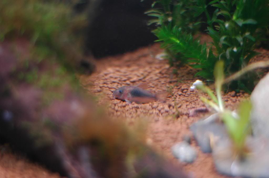 DSC_0666.jpg