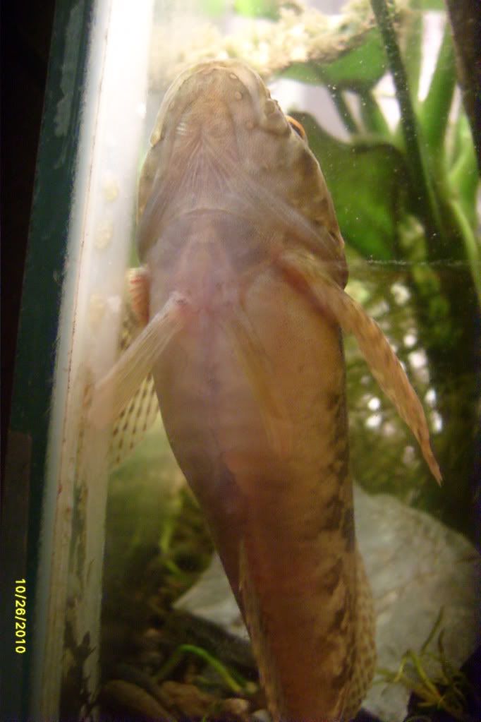 S7306675.jpg