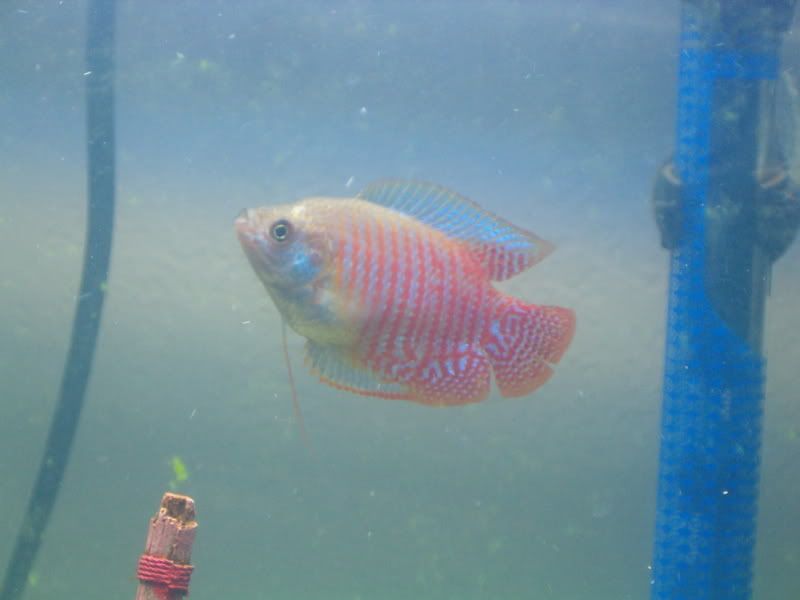 aquarium2021.jpg