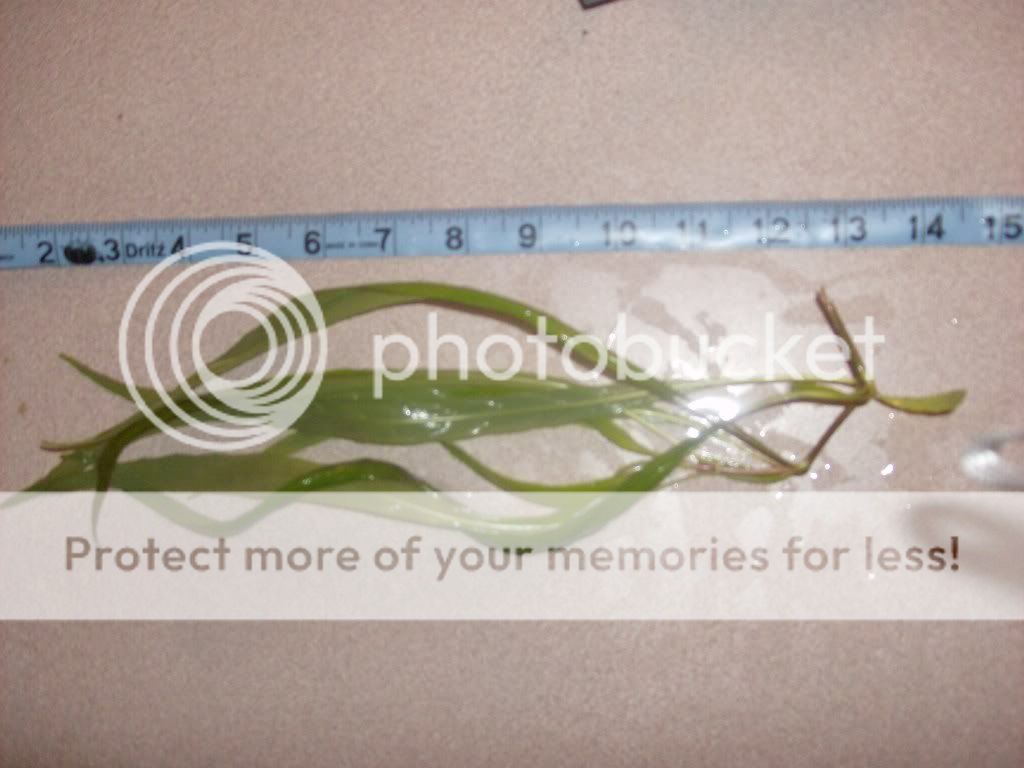 Picture004.jpg