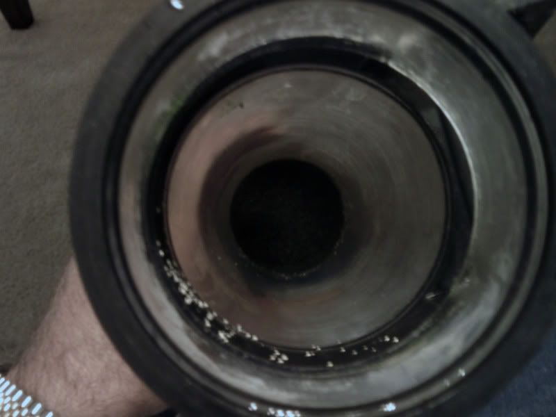 IMAG0095.jpg