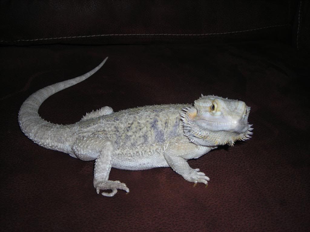 DSCN3493.jpg
