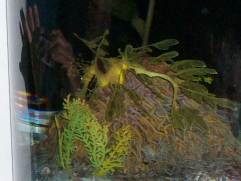 100_0412.jpg