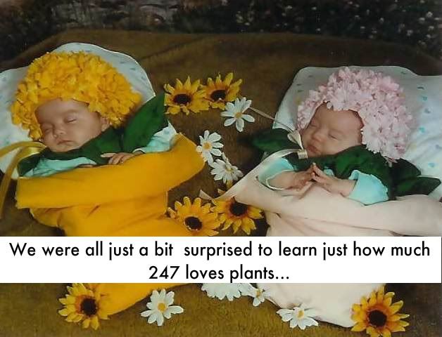 kurt.jpg